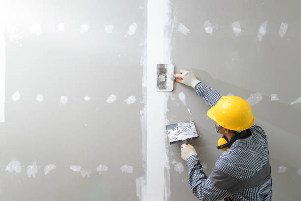 Best Black Mold Removal  in Hilltop, SC