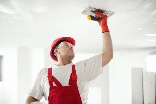  Hilltop, SC Mold Removal Pros