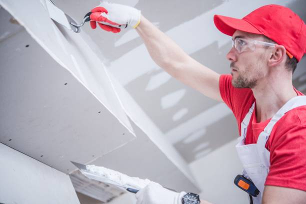 Best Mold Documentation for Insurance Claims  in Hilltop, SC